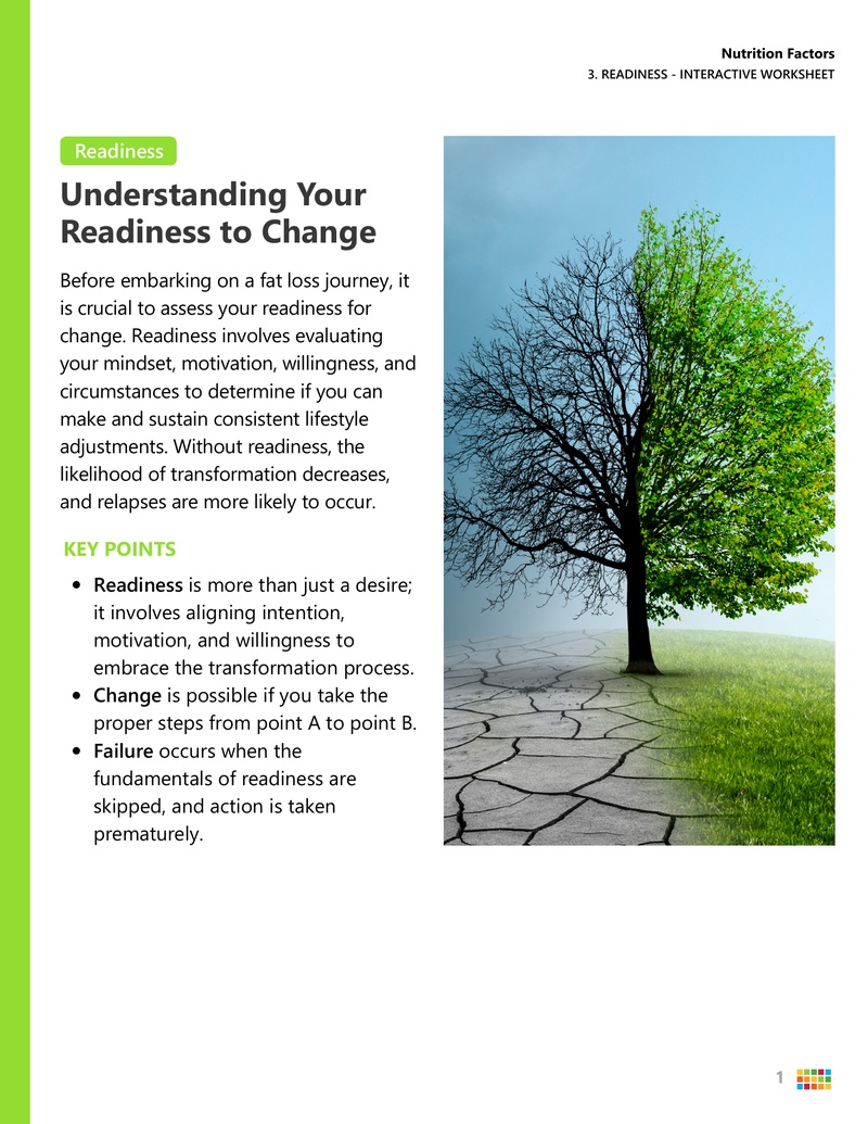 worksheet_pdfs/Worksheet_-_3._Readiness_thumb.png
